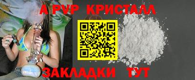прущие грибы Лесосибирск